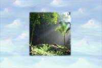 /album/galeria-de-fotos/a1a-jpg/