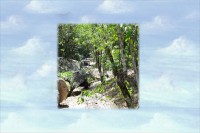 /album/galeria-de-fotos/a1b-jpg/