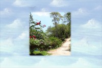 /album/galeria-de-fotos/a1c-jpg/