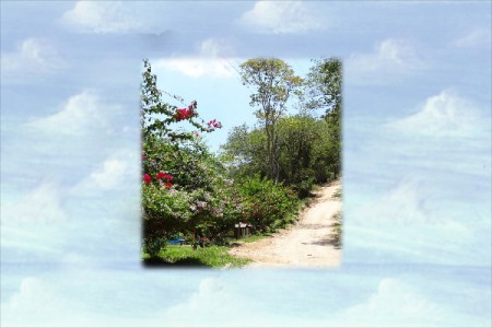 Para melhor visualização clique com o lado esquerdo do mouse.